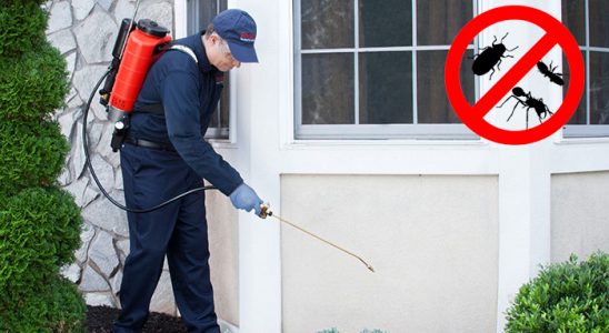 Bozyaka Dezenfeksiyon böcek ilaçlama ve haşere kontrolü — ilaclama-tr.com
